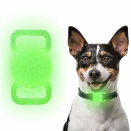 Selvlysende AirTag holder for kjæledyr i silikon - Grønn