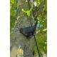 Fugl geocache beholder med rom til bison - 11cm - 3D printet - Sort