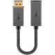 DisplayPort til HDMI hun adapter Ugreen
